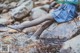 A woman sitting on a rock in a stream.